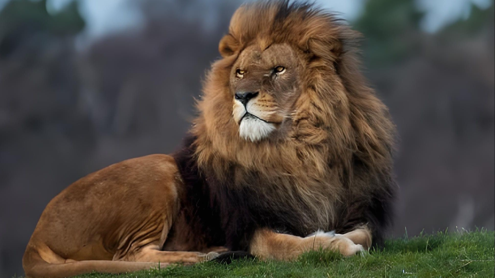 传奇杀手银泰杜梅拉,鬣狗的一生之敌,两代女王的收割机!