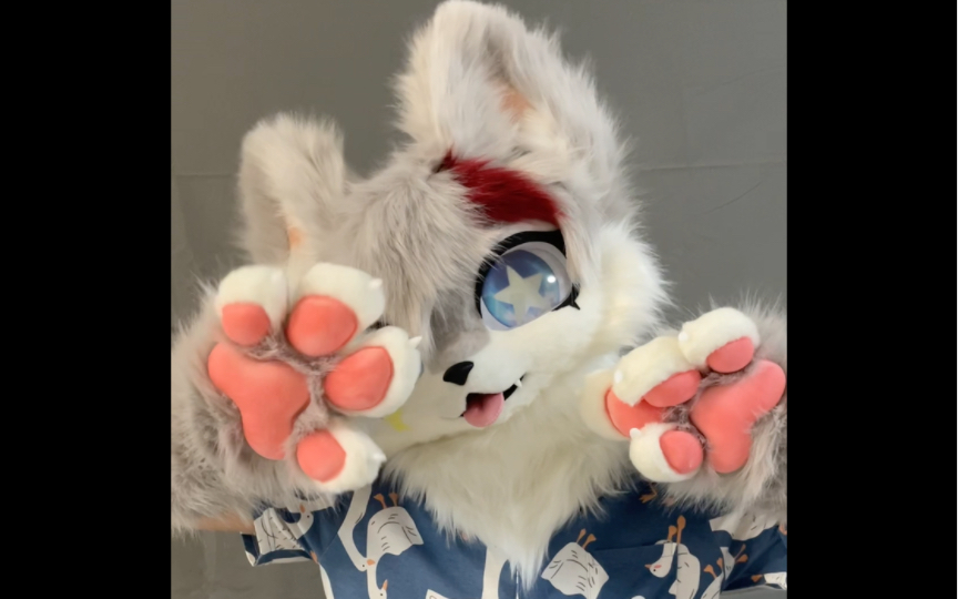 【fursuit/furry兽装兽头兽爪】委托展示_哔哩哔哩_bilibili