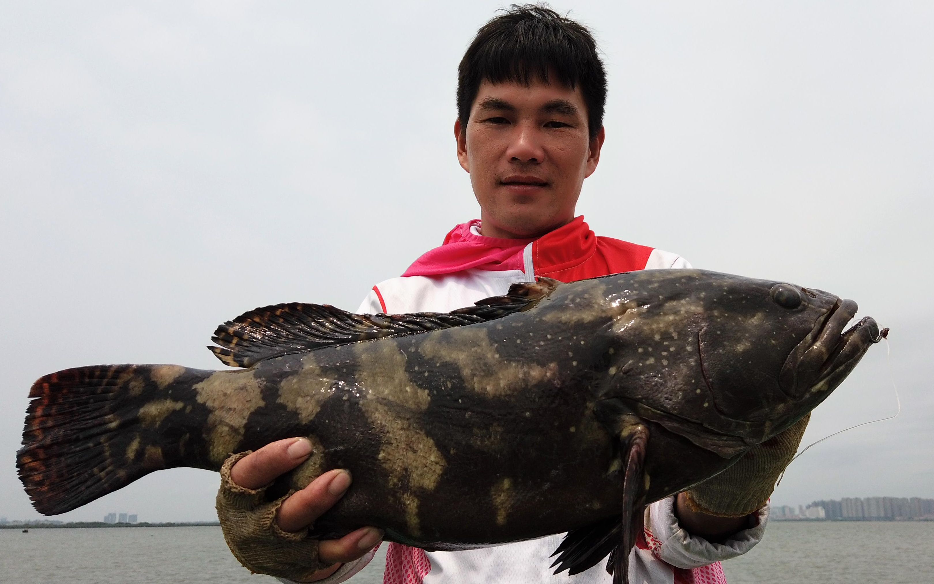 广叔钓到一条大石斑鱼,一条就装爆箱,太刺激了真开心