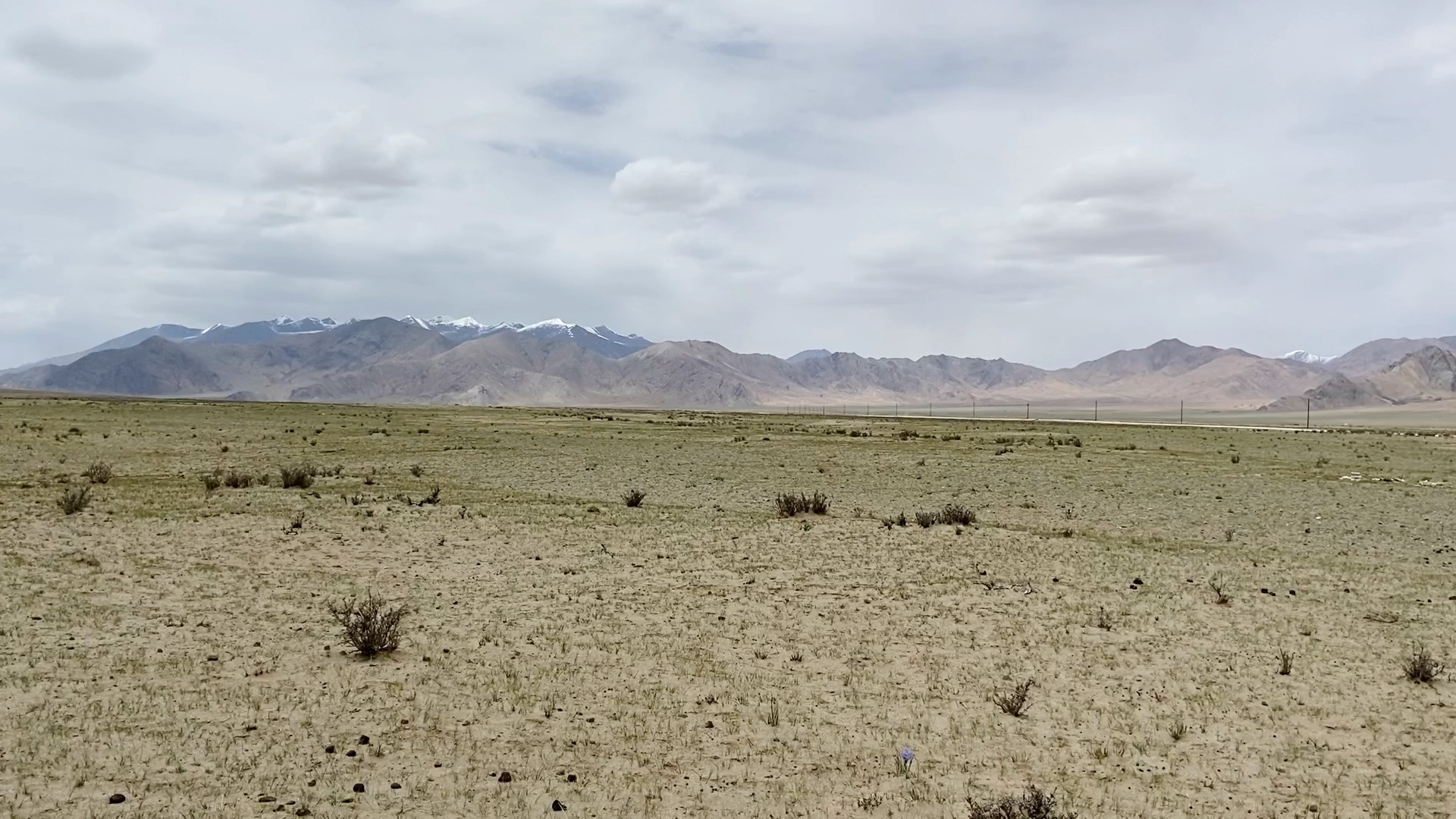 可可西里 野牛沟 无人区 -格尔木 昆仑山 青海