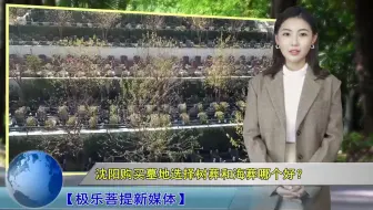 沈阳购买墓地选择树葬和海葬哪个好？