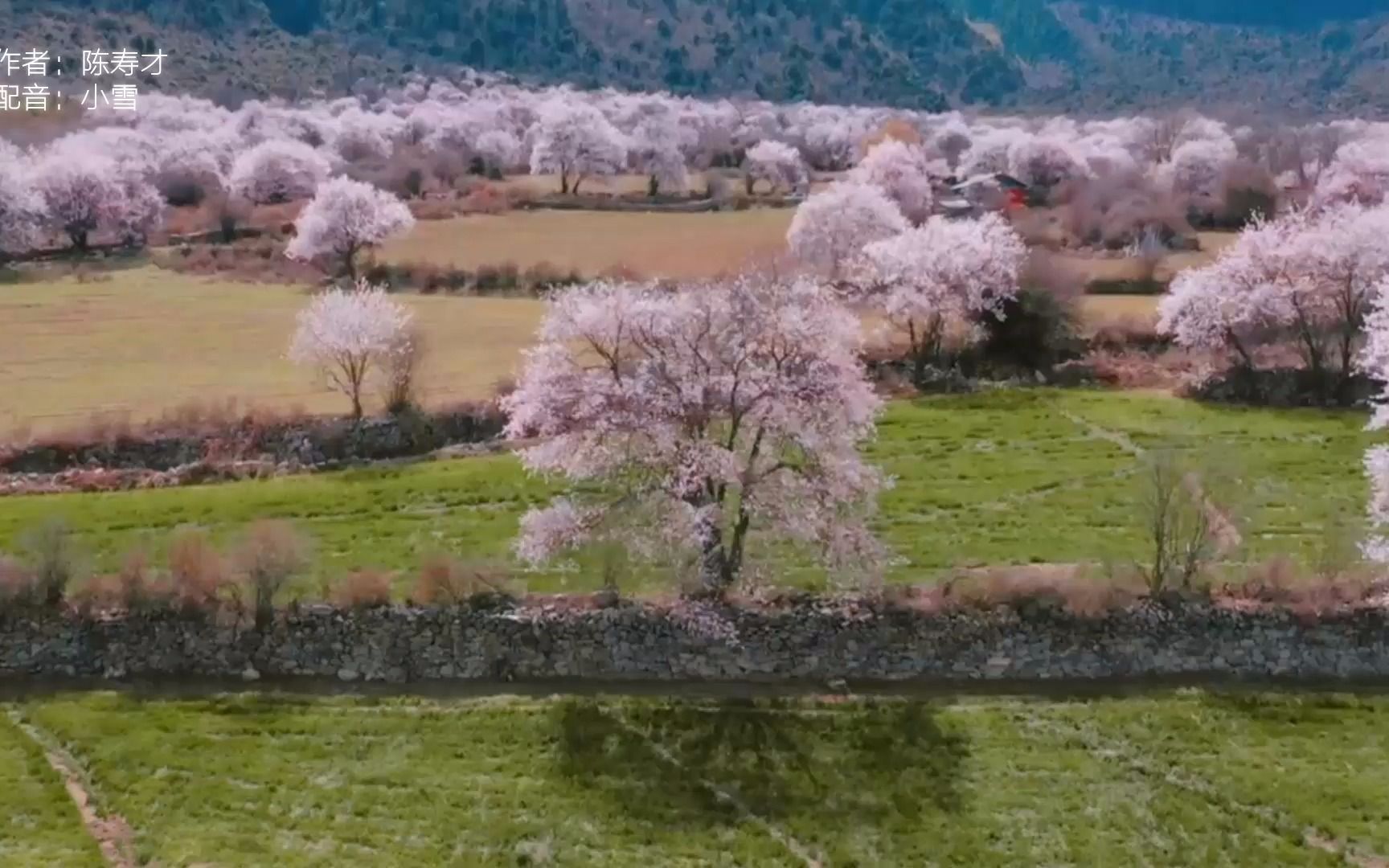 [图]打开春天的场景