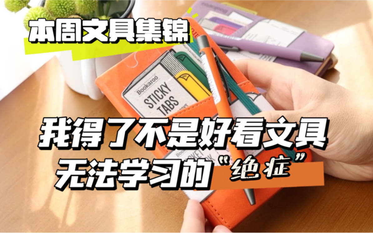 我怕是得了没有好看文具无法学的“绝症”-差生文具盒-差生文具盒-哔哩哔哩视频