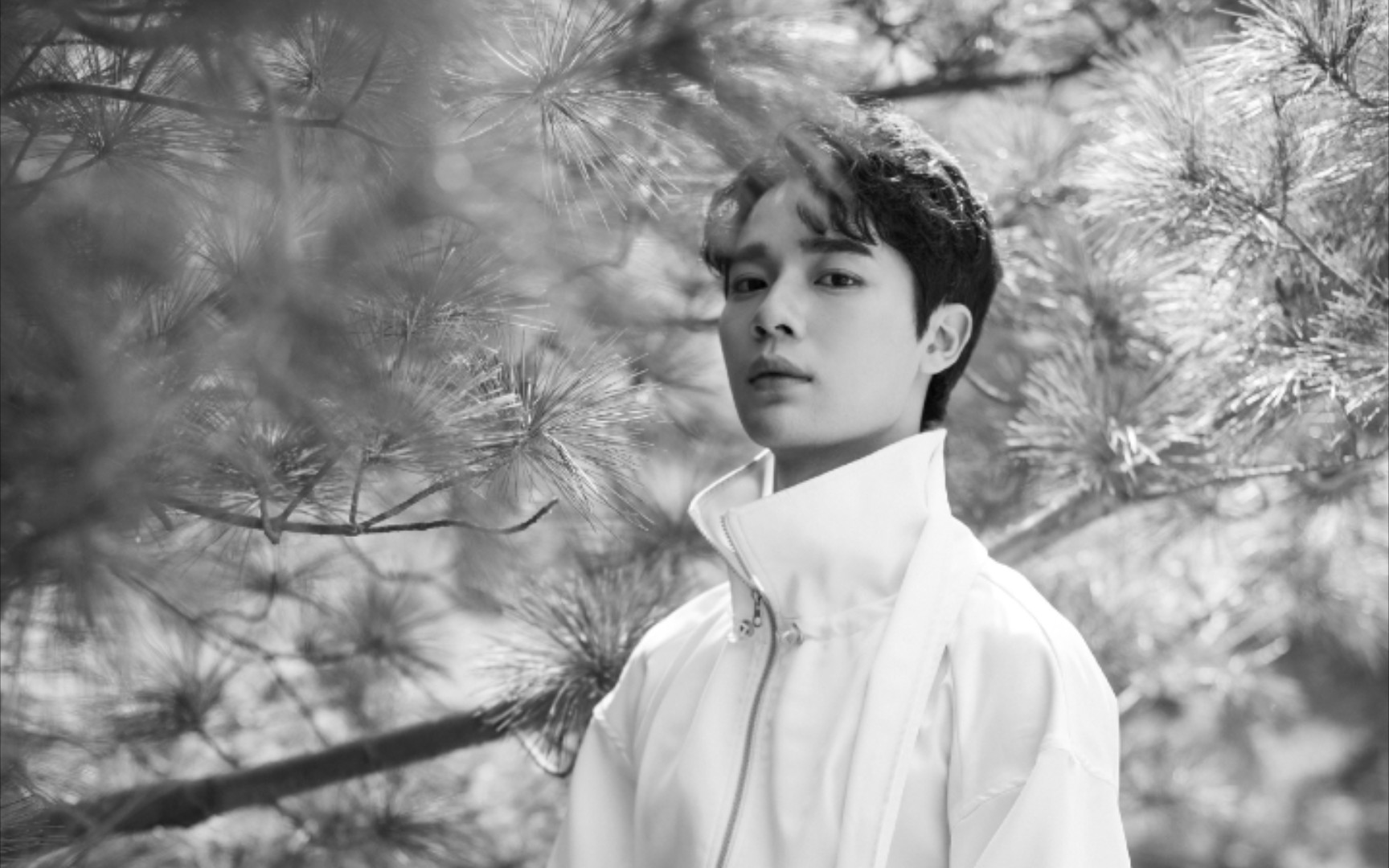 山河令李岱昆唱歌中气十足跟娇娇蝎儿完全反差啊httpspanbaiducoms1