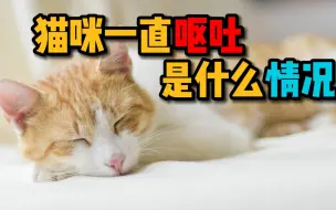 Download Video: 猫咪一直呕吐是什么情况