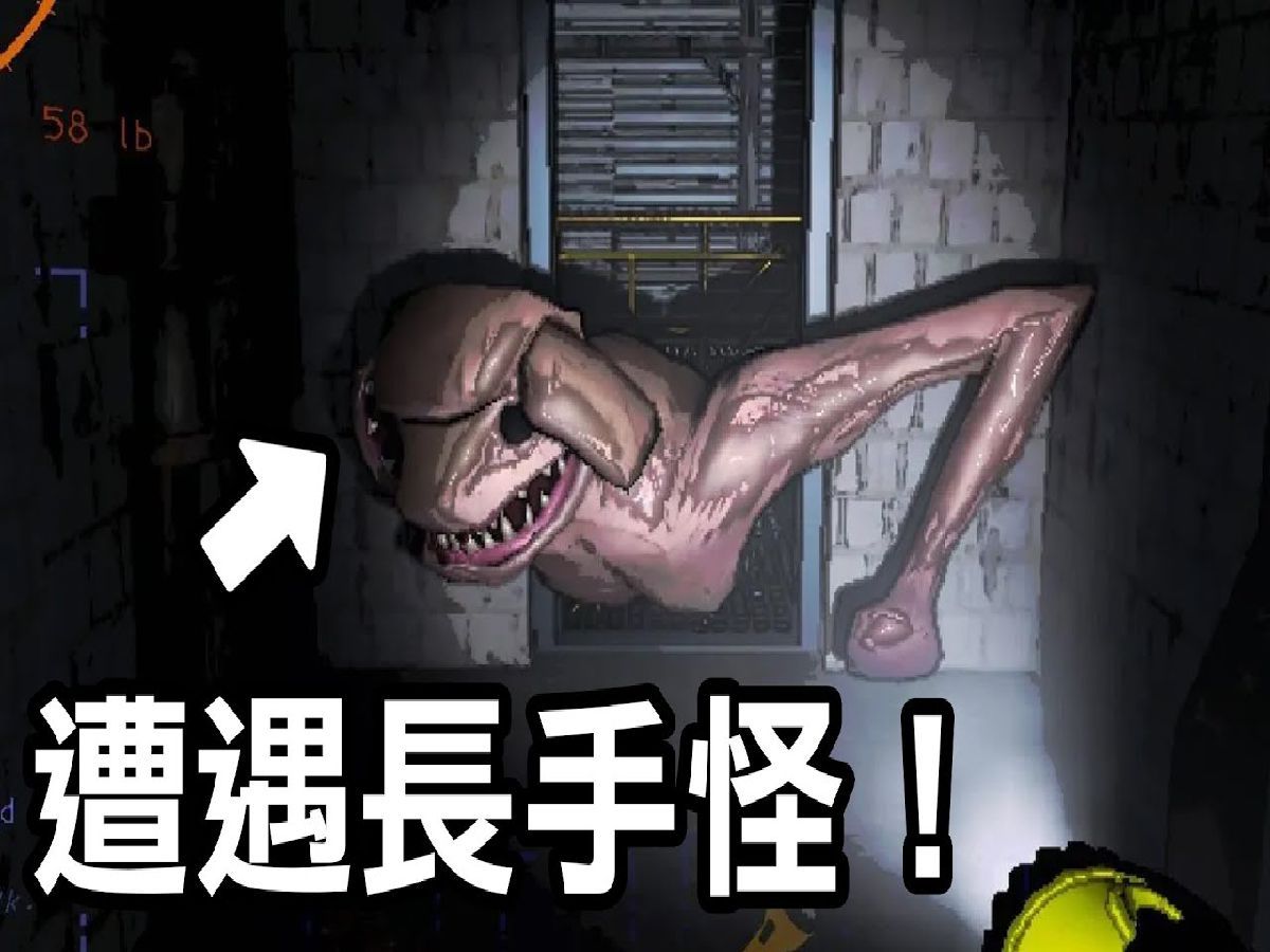 遭遇可怕长手怪!【lethal company 致命公司】