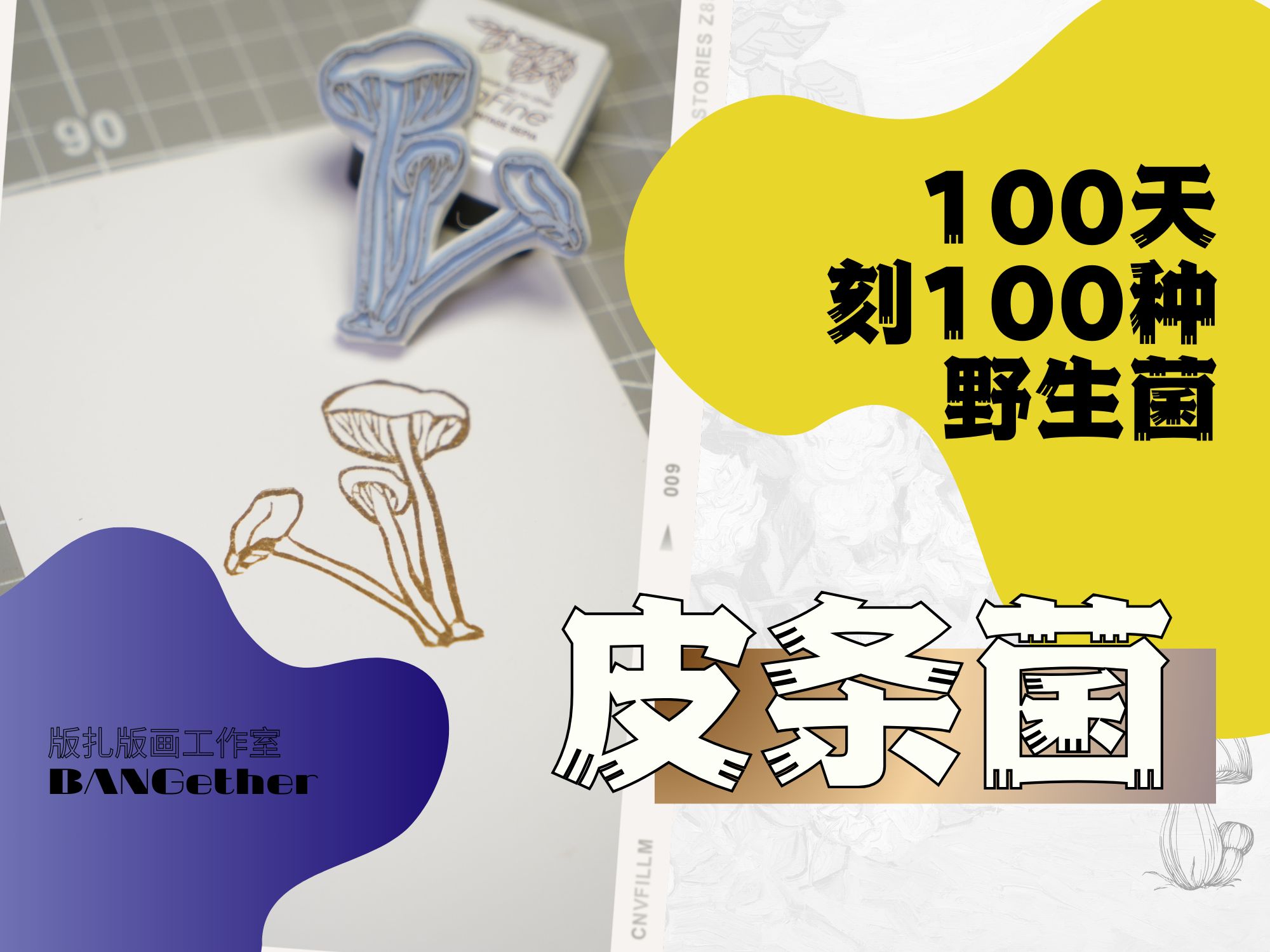 【100天刻100种菌子】之 皮条菌哔哩哔哩bilibili