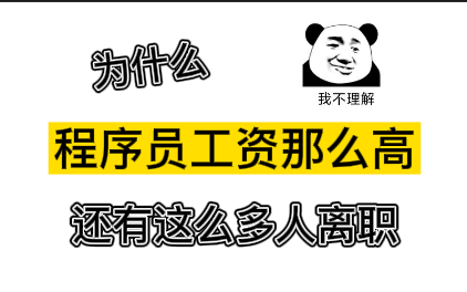 为什么程序员工资那么高,还有这么多人离职呢?哔哩哔哩bilibili