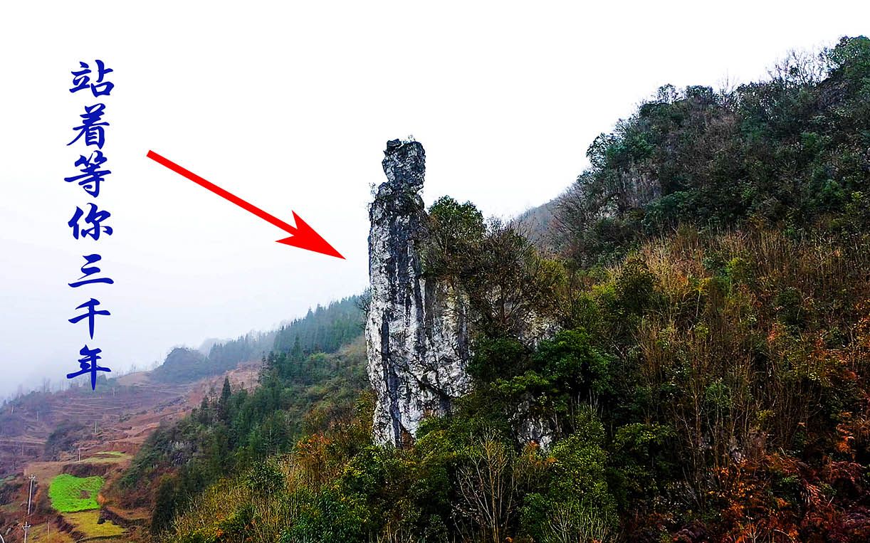 贵州织金,山上有一个像人一样的石头,朋友们看看像吗