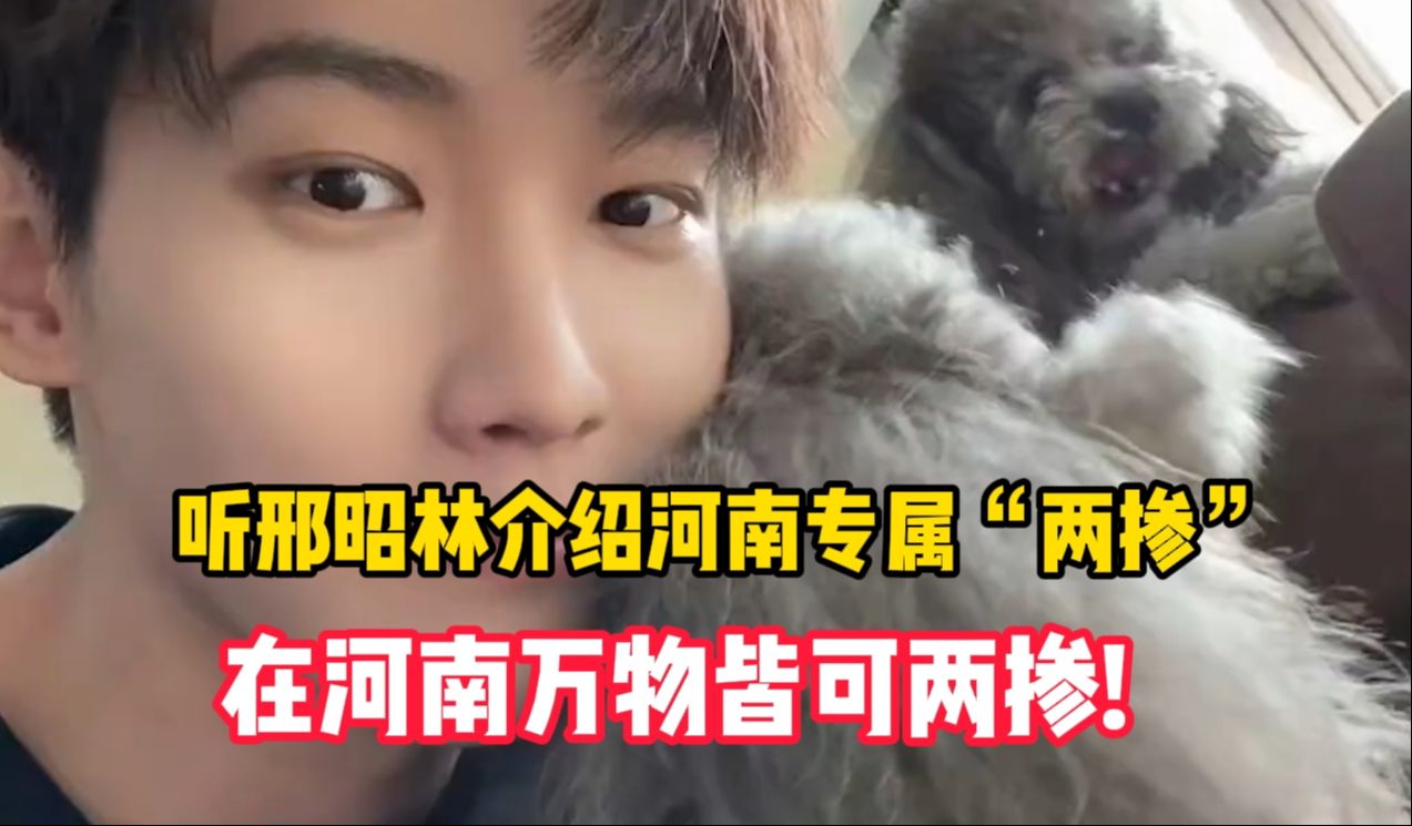 听河南娃邢昭林介绍本地专属"两掺" ,在俺河南,万物皆可两掺!