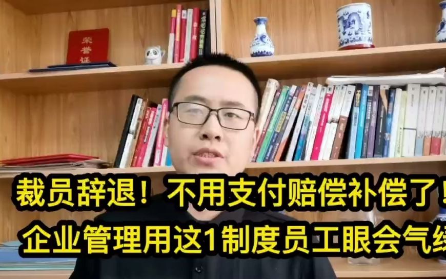 裁员辞退,不用支付赔偿补偿了!企业管理用这1制度员工眼得绿哔哩哔哩bilibili