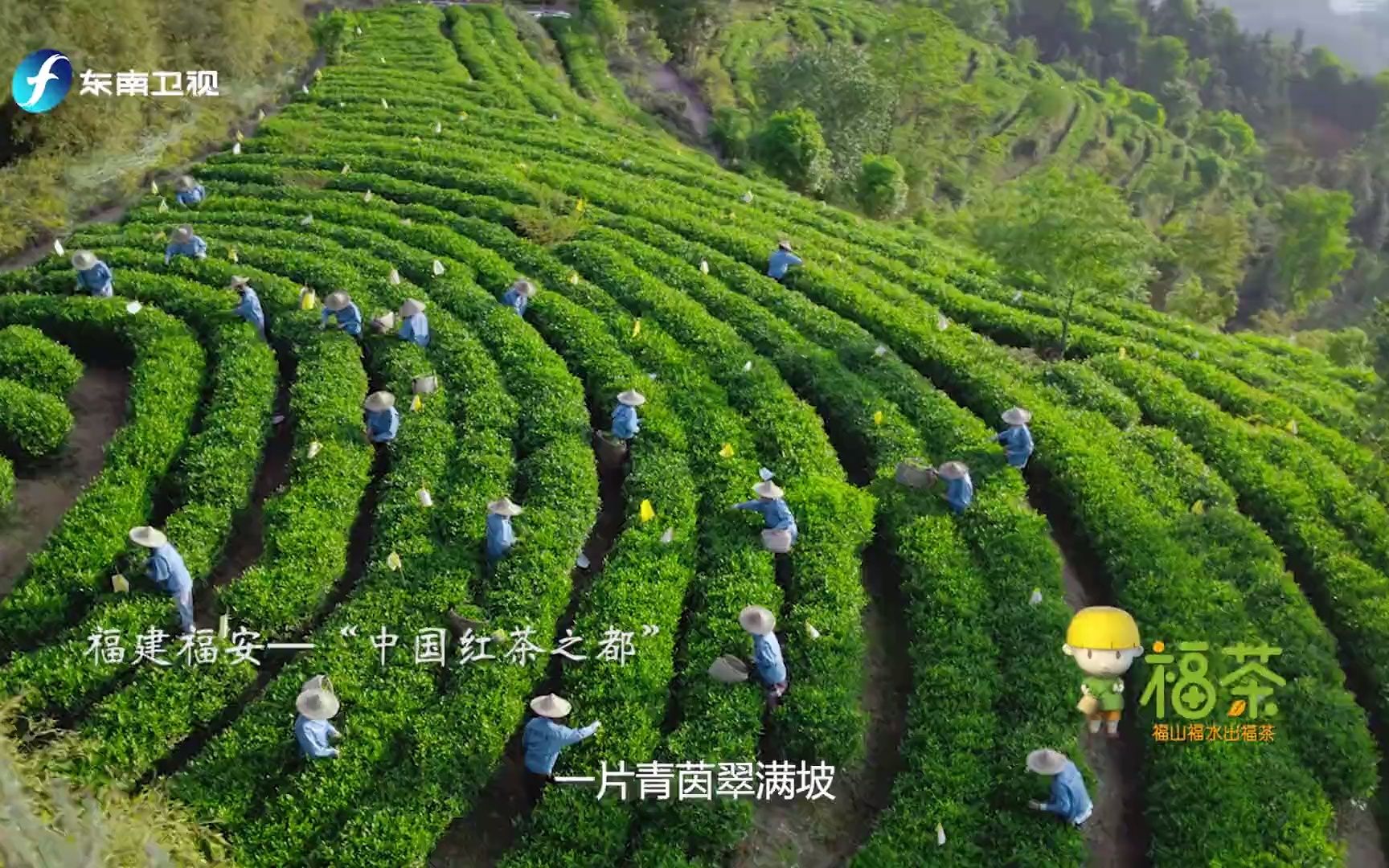 [图]《福山福水出福茶》林芝友缘牌坦洋工夫