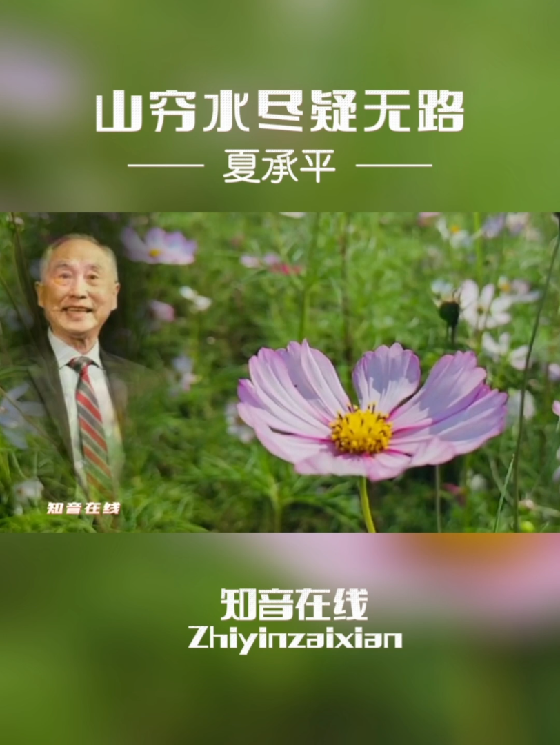 #知音在线/夏承平老师黄梅戏/山穷水尽疑无路/许成章词/陈精耕曲哔哩哔哩bilibili