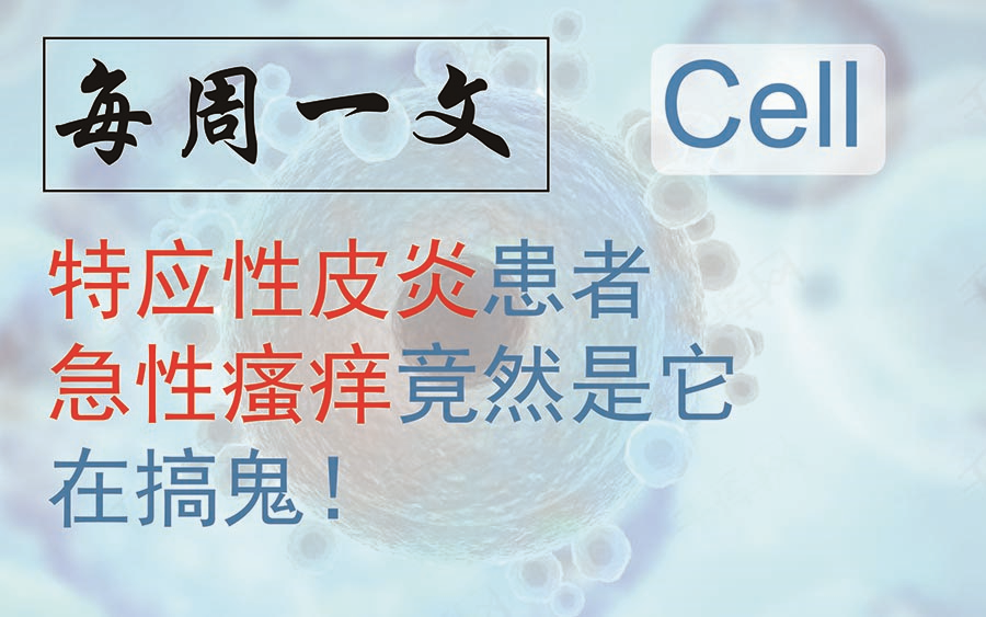 每周一文《Cell》嗜碱性粒细胞是特应性皮炎急性瘙痒的罪魁祸首哔哩哔哩bilibili