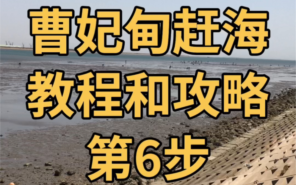 曹妃甸赶海详细教程路线地点及攻略第6步如何抓皮皮虾哔哩哔哩bilibili