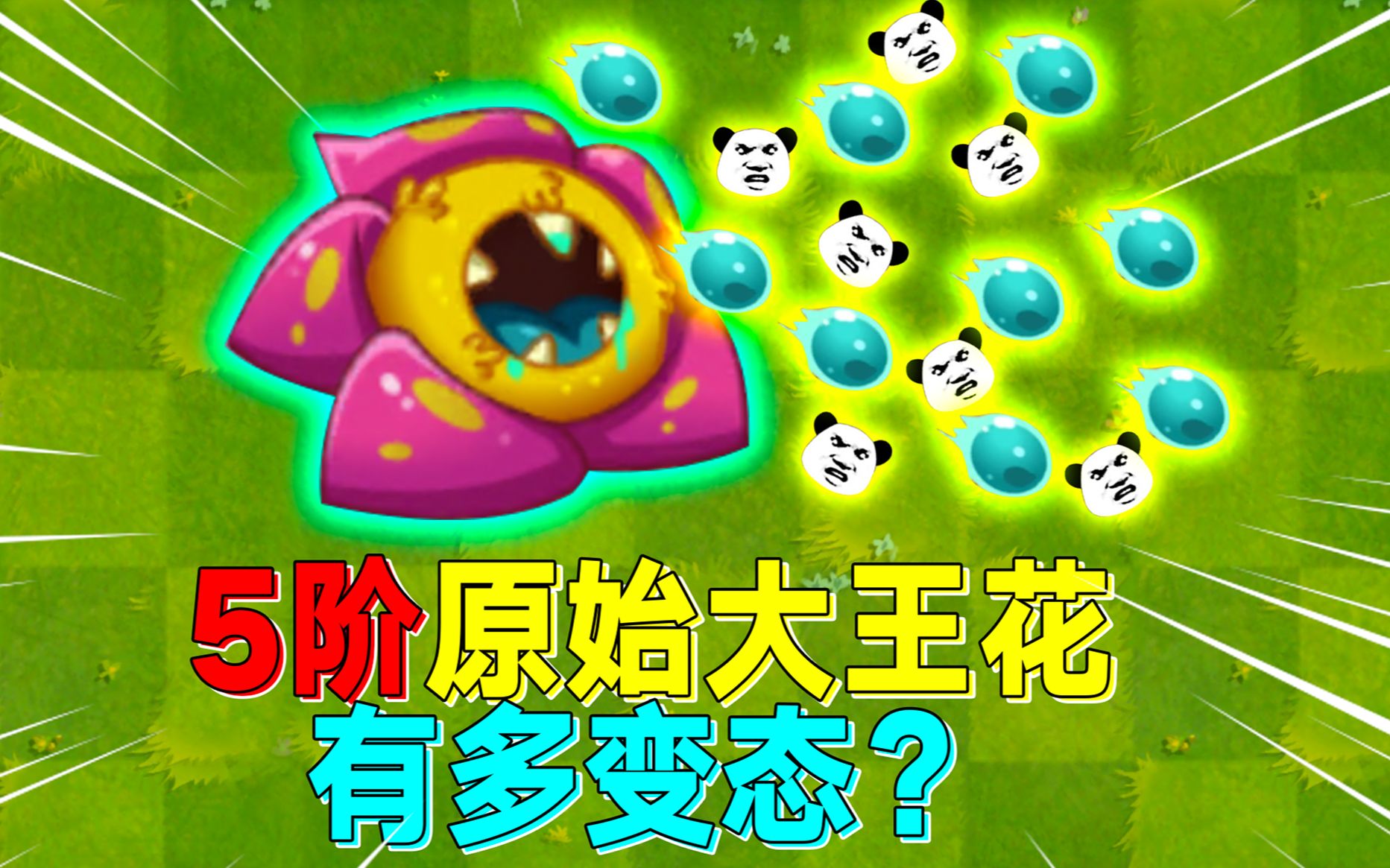 pvz2:5阶原始大王花到手!他的毒珠究竟有多厉害?