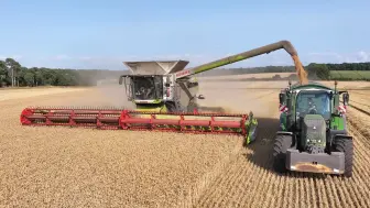 Download Video: 4K | 克拉斯（Claas）Lexion 8900