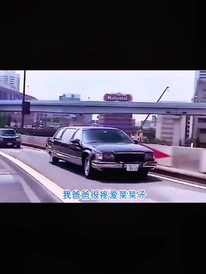 [图]Fleetwood Limo 经典永存！