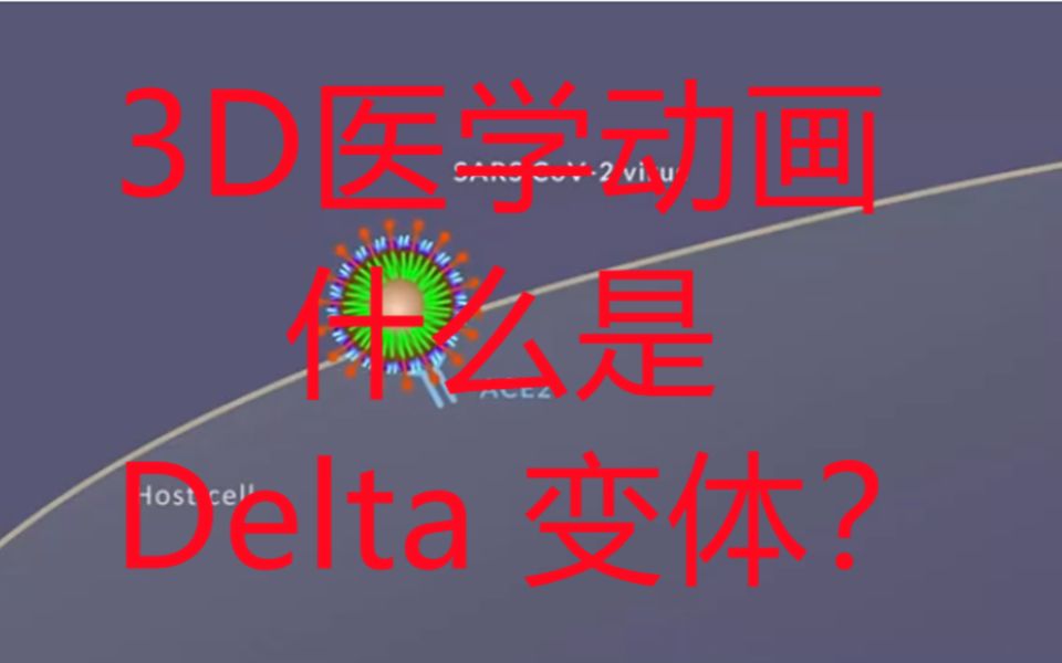 什么是 Delta 变体?3D医学动画科普哔哩哔哩bilibili