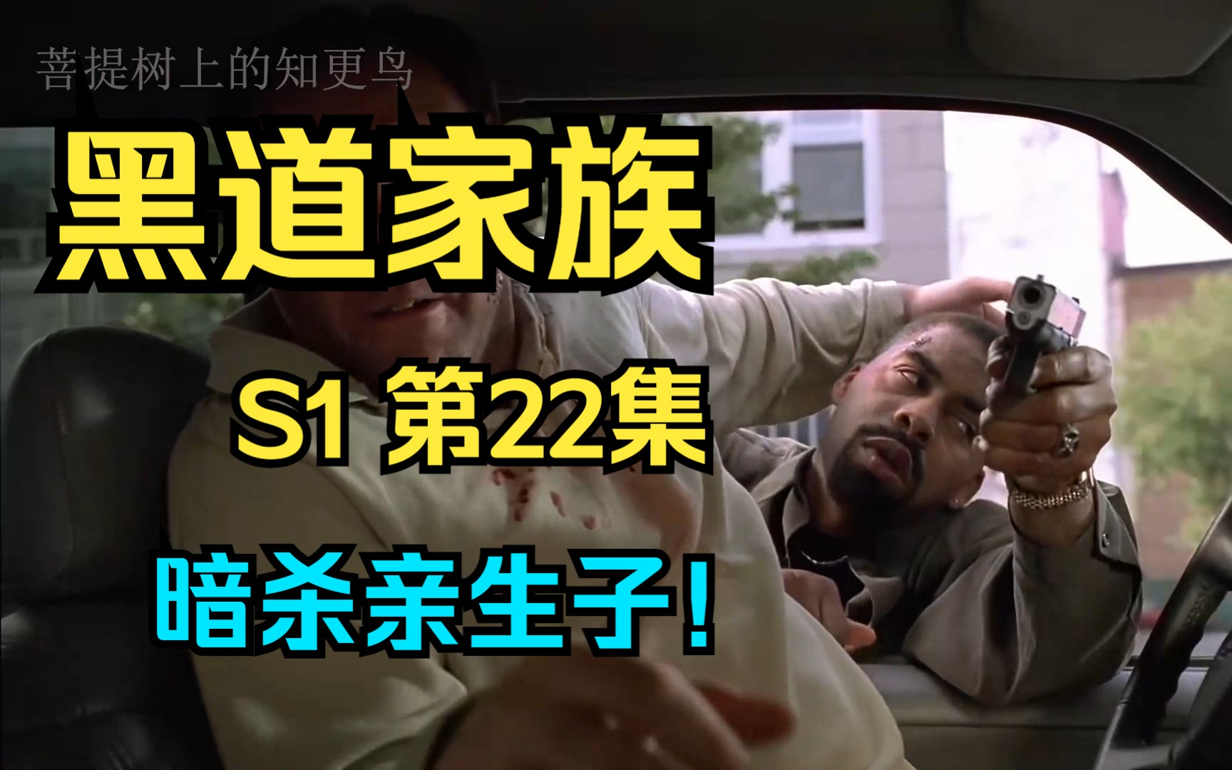 《黑道家族》第一季第22集:谋杀tony!第一次暗杀行动.