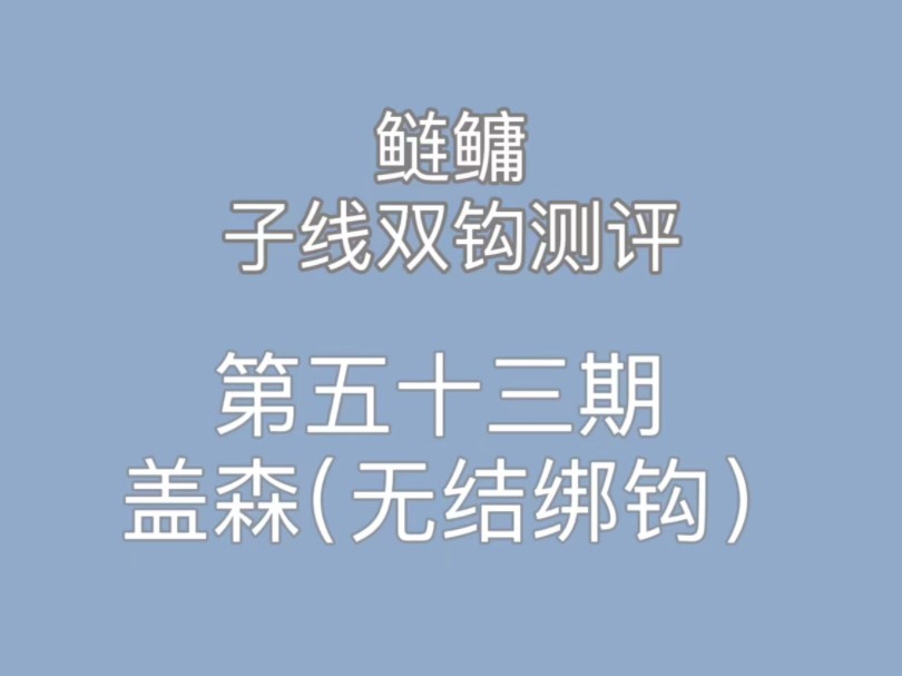 鲢鳙子线双钩测评第五十三期,盖森哔哩哔哩bilibili