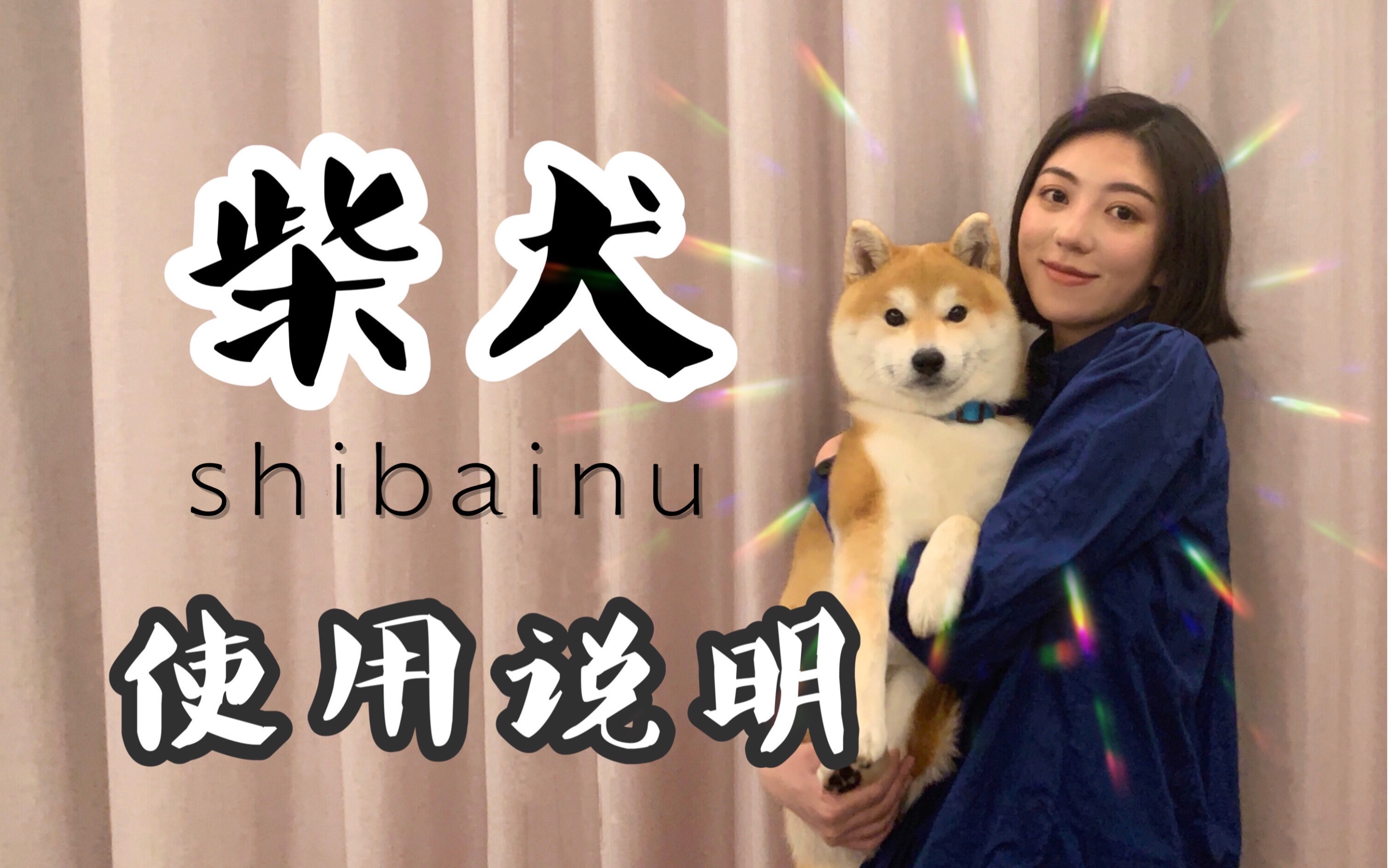 [图]听说你也想养柴犬？——《 购买饲养柴犬指南 》