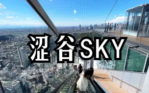 下载视频: 【4K VLOG】涩谷SKY｜我来到了世界上最繁华的十字路口