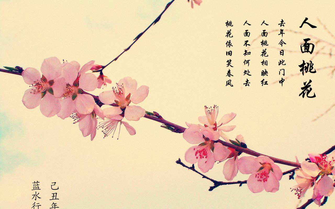 【妍漪儿】《桃花渡》――《花开不是真》片尾曲