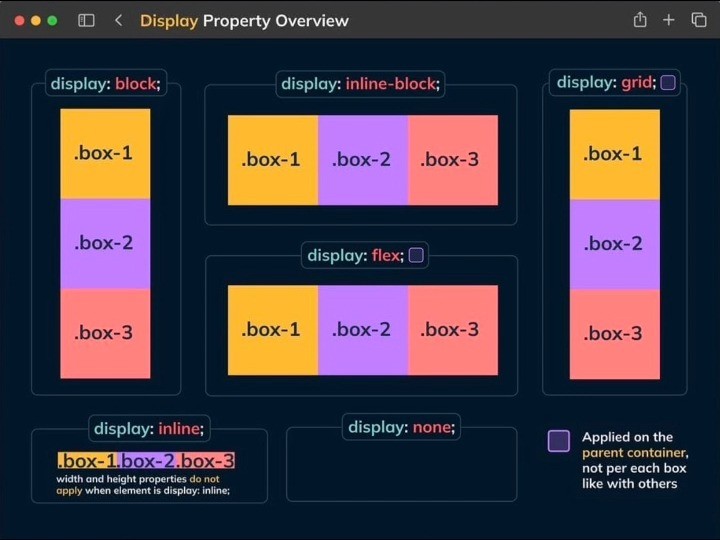 CSS Display 属性哔哩哔哩bilibili