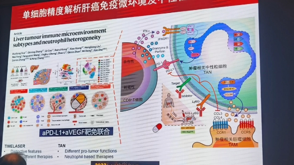 科研热点哔哩哔哩bilibili