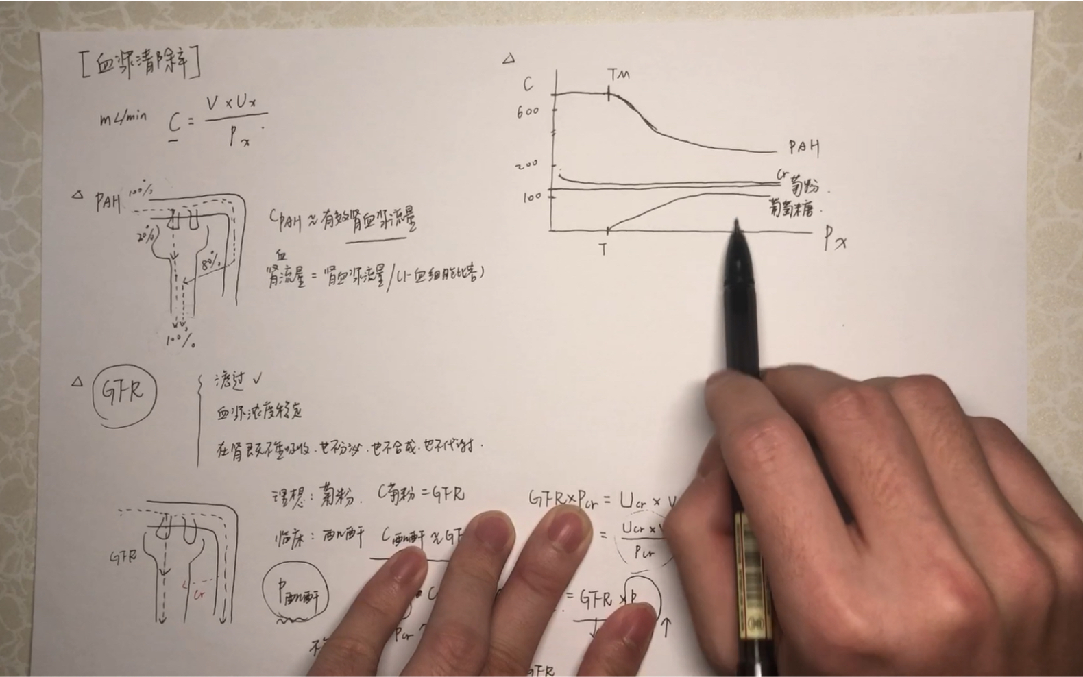 【血浆清除率】医学生的生理学习分享 Ccr?Cpah?哔哩哔哩bilibili