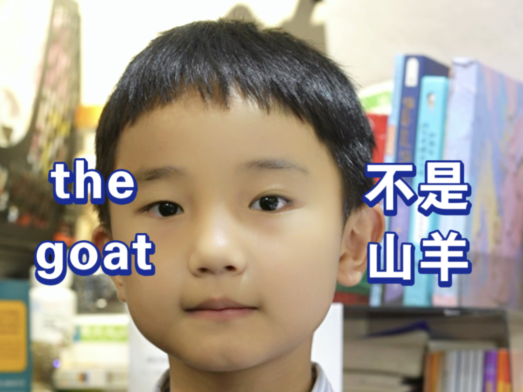 外国人常说的the goat代表什么意思呢?哔哩哔哩bilibili