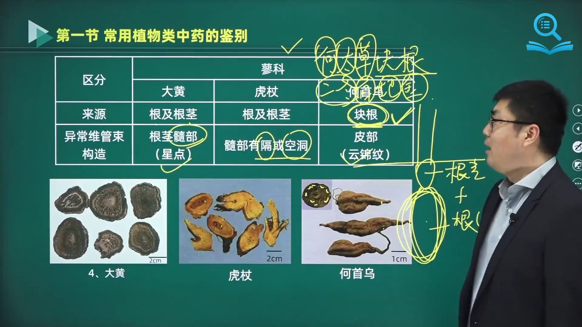 常用植物类中药鉴别——牛膝哔哩哔哩bilibili