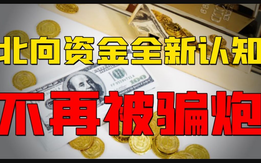 股市的北向资金是聪明钱?是主力马甲?90%的北向资金都是假的哔哩哔哩bilibili