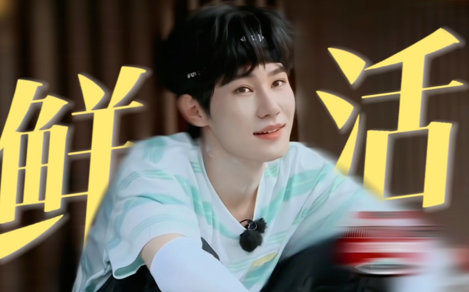 为什么他凭这个综艺可以圈粉无数? ◎张真源