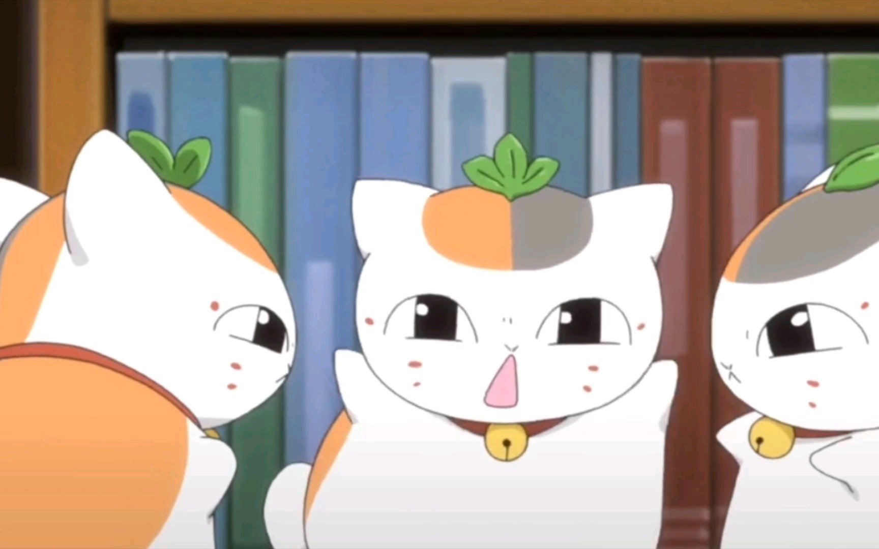 三小只的猫咪老师也太可爱了吧!