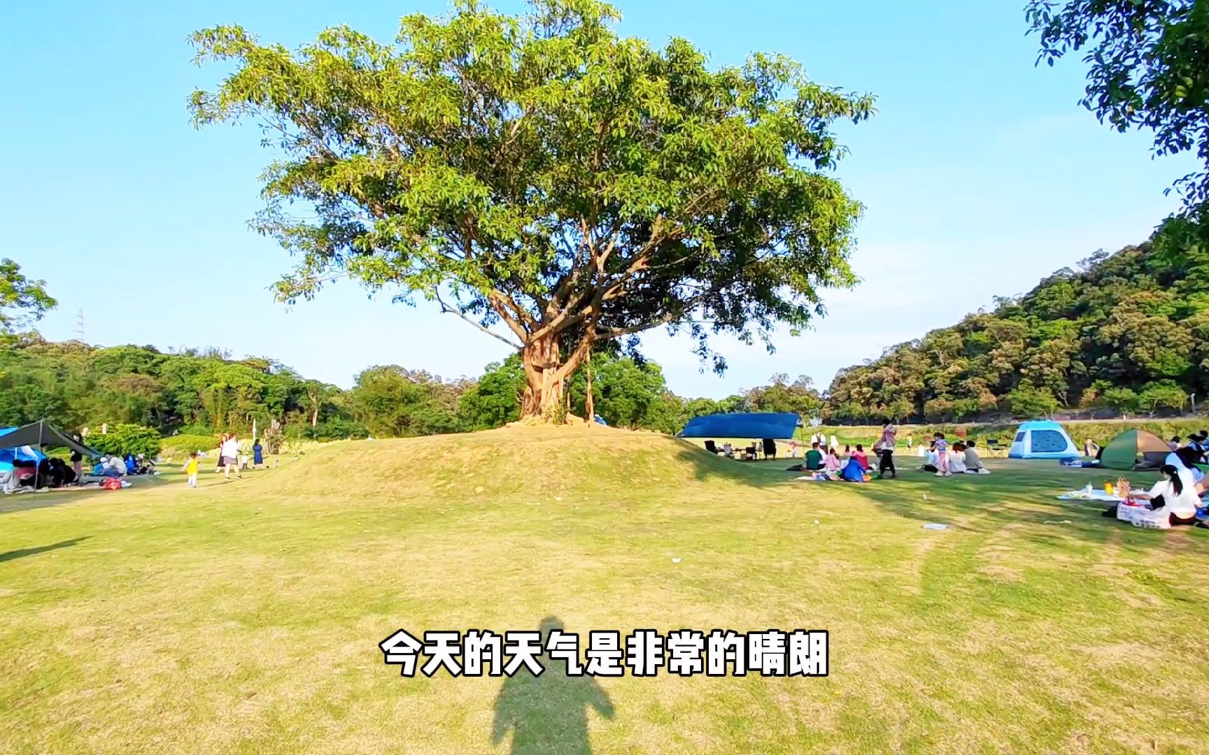 [图]深圳恩上湿地公园，徒步最美S型海景公路，遇上最美绿野仙踪秘境