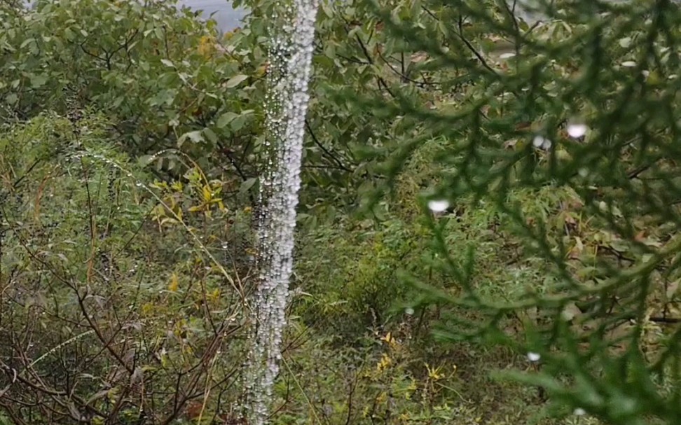 [图]雨后观察那蜘蛛网