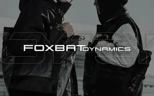 Download Video: FOXBAT DYNAMICS 狐蝠工业® LEG-36 “吉普赛人” 多功能可斜挎托特包_功能演示视频