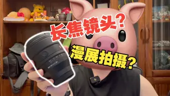 比起定焦，我觉得打鸟镜头更适合拍漫展