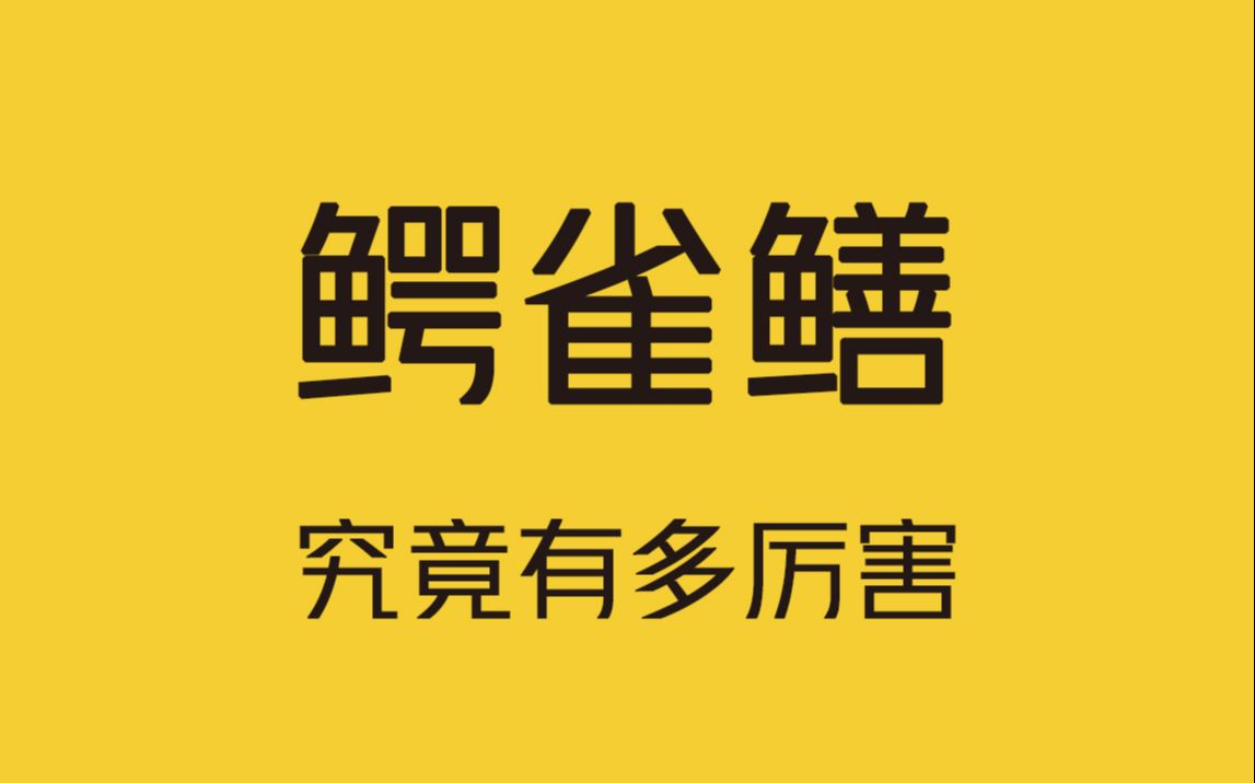 史前鱼类鳄雀鳝,在地球上已生存了1亿多年!哔哩哔哩bilibili