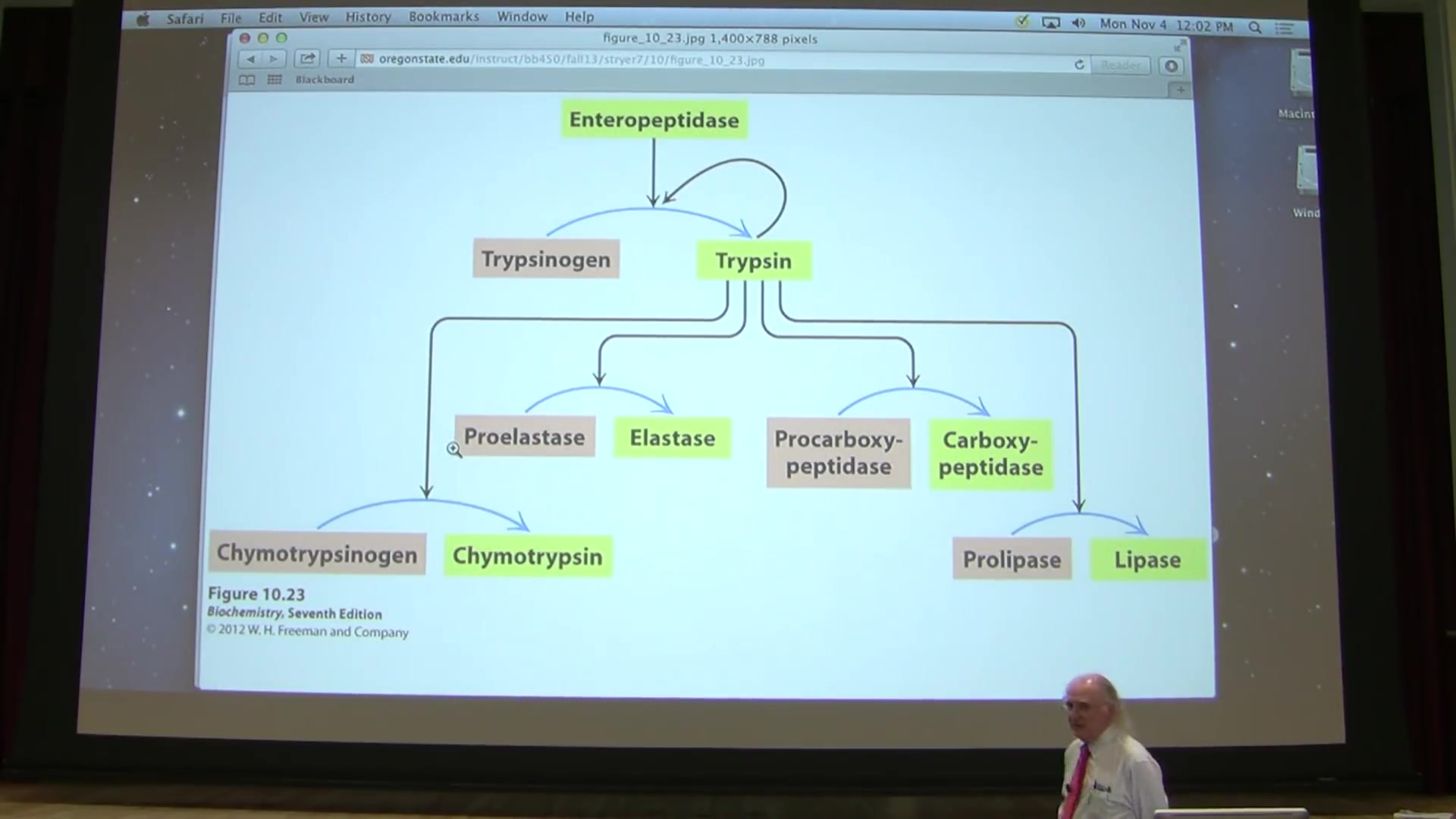 [图]【俄勒冈州立大学】生物化学Kevin Ahern 2013