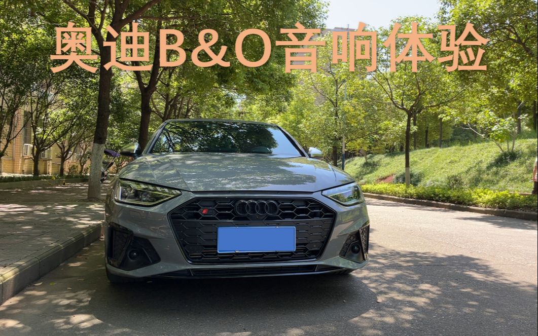 奥迪b&o音响体验,大风吹-王赫野,纯享版#bo音响