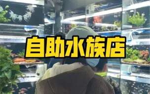 Descargar video: 无人超市见多了.这个无人水族店.有点意思.