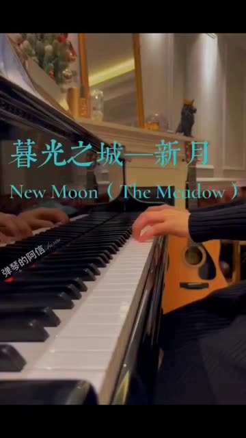 电影《暮光之城》插曲 新月(New Moon) 这首曲子陪伴了我很多年,每次心情不好的时候都会听,悲伤、惆怅、沮丧、感慨,好像每次聆听的时候心境也...