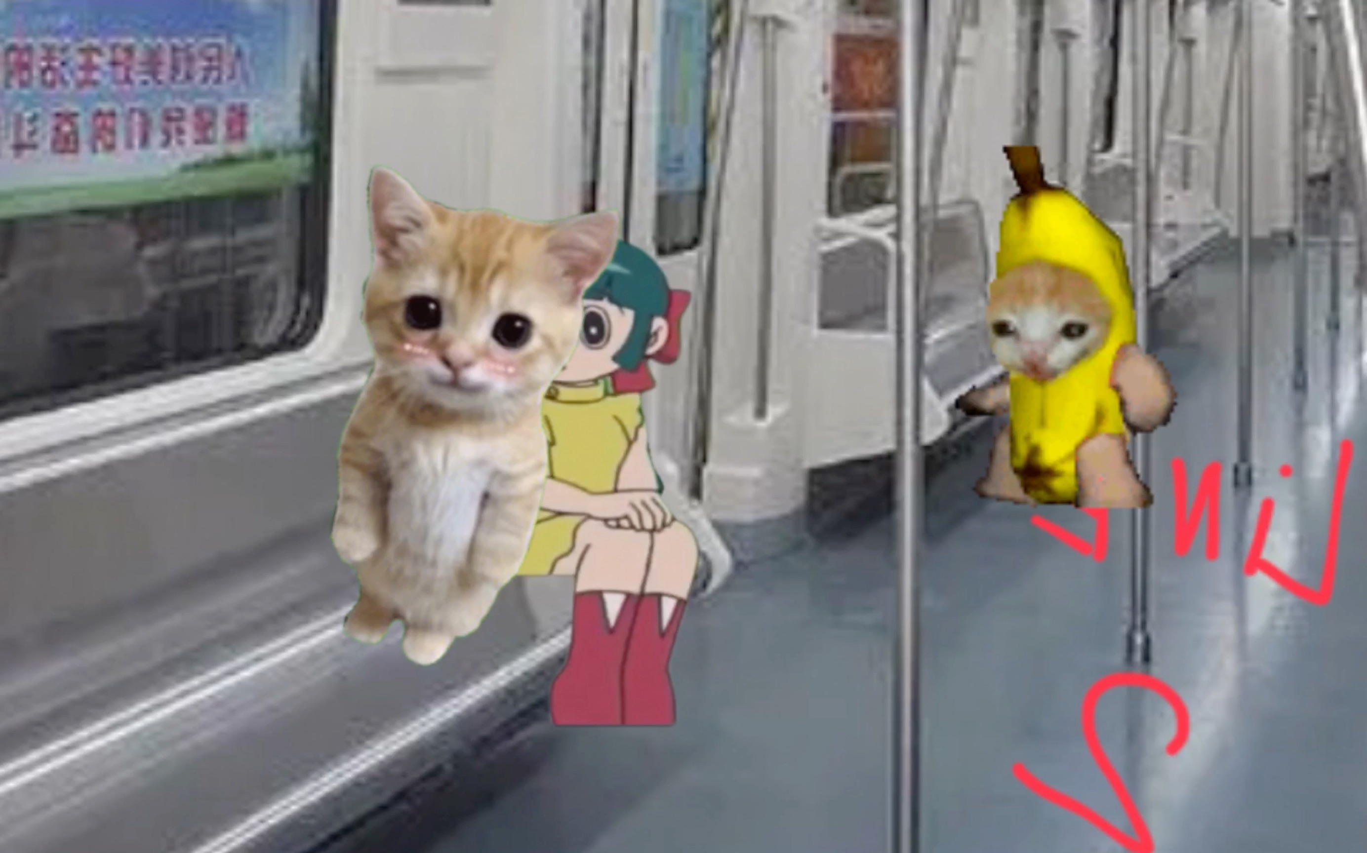 香蕉猫的日常第四季第11集女神争夺战2