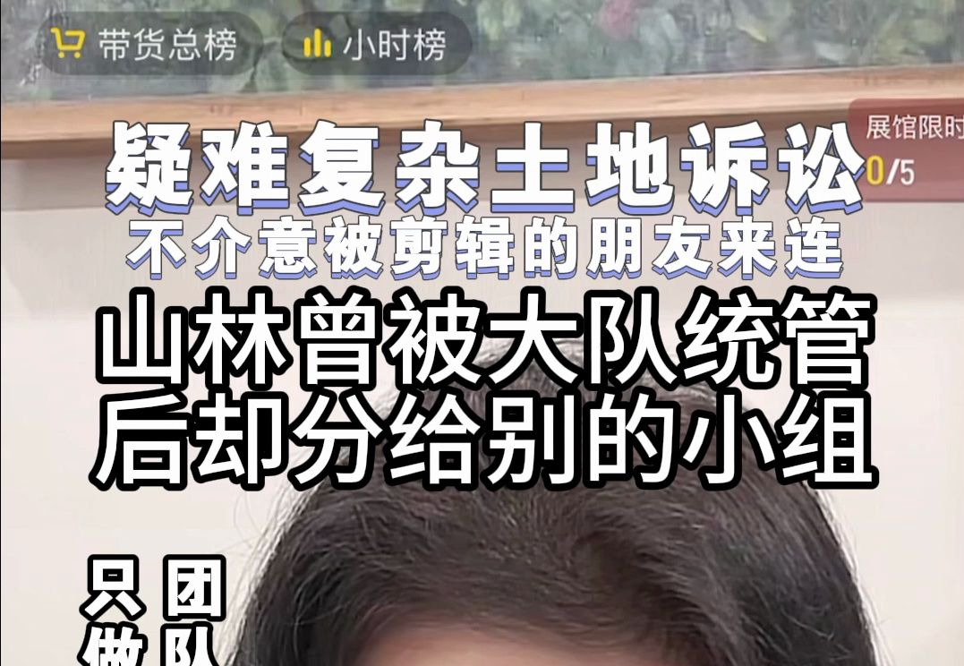 大队统管我的山林,却分给别人使用,怎么办?哔哩哔哩bilibili