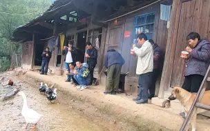 下载视频: 实拍湖南农村吃狗肉场景，大锅狗肉随便吃，乡亲们说说笑笑真热闹