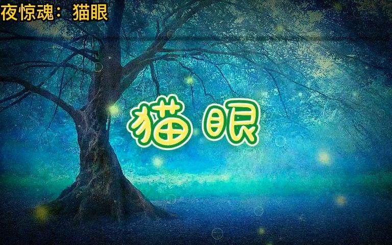 [图]午夜惊魂：猫眼