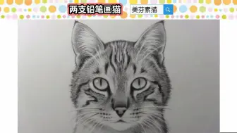 下载视频: 创意素描画小动物入门教程：看大神如何用两只铅笔，画一只毛茸茸栩栩如生的小猫！